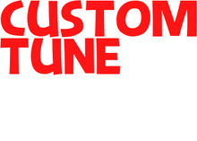 Load image into Gallery viewer, F-Series Ecutek Custom Tune